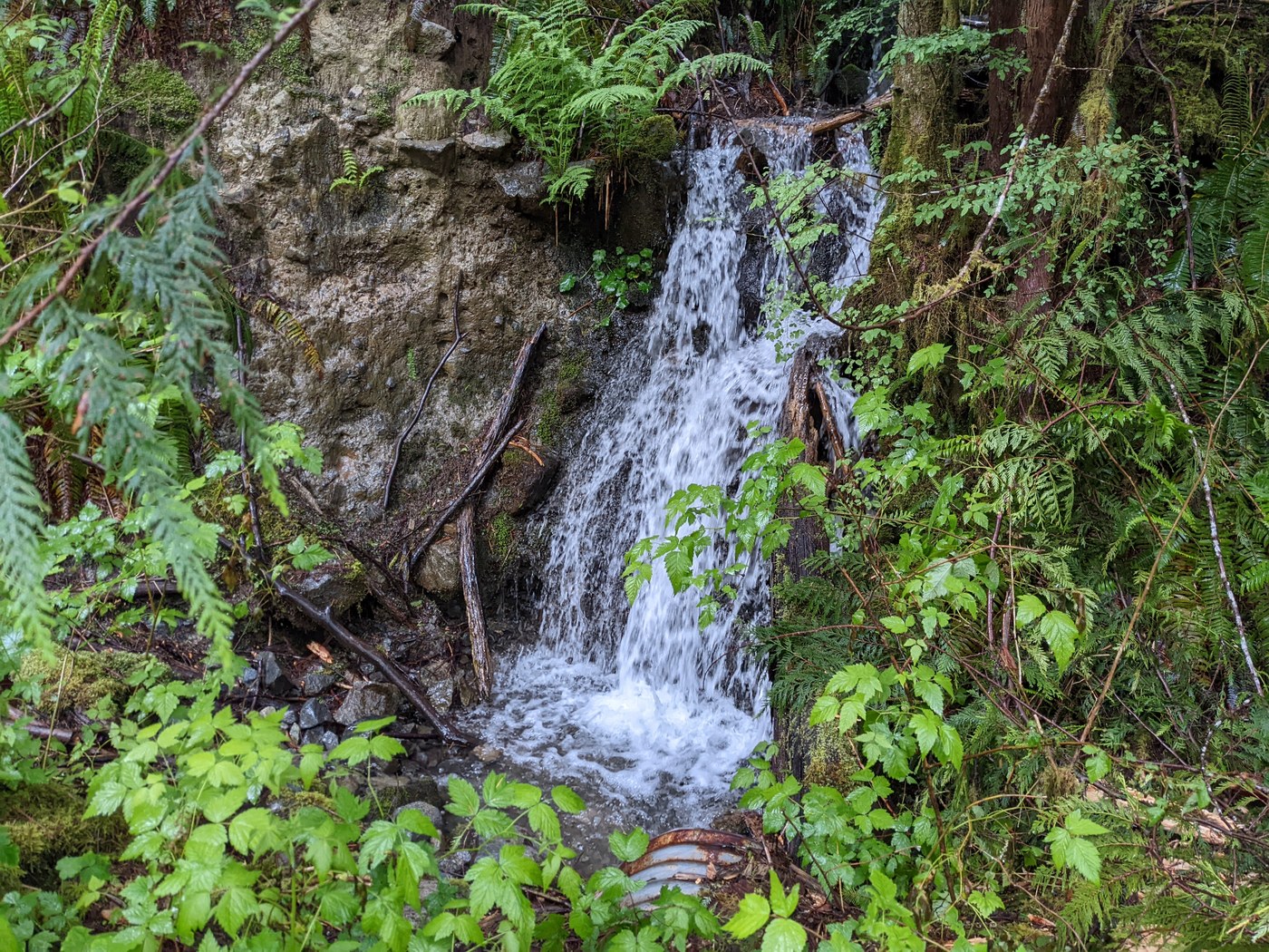 Quartz Creek/Lake Blethen — Washington Trails Association